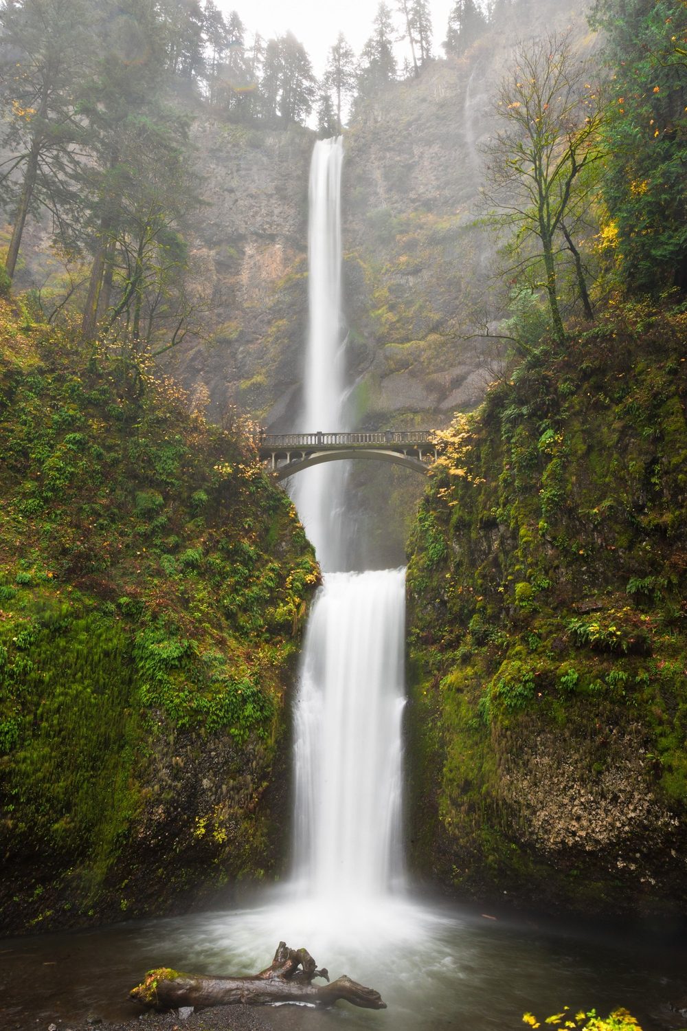 Larch Mountain roadless country, Multnomah Falls, 15 November 2010